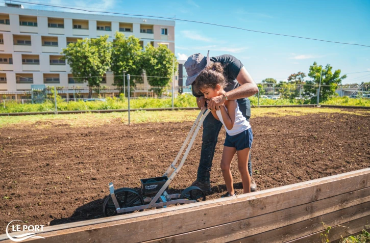 plantation riz au port 