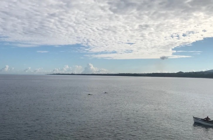 Dauphins dans la baie de Saint-Paul