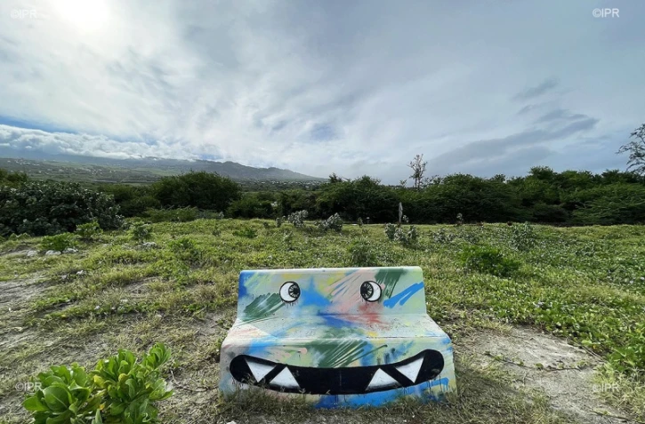 illustrations photos