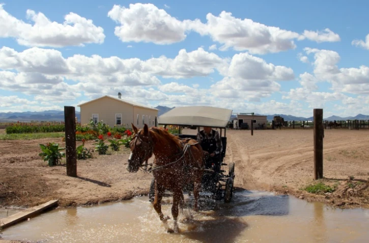 Un Mennonite conduit une carriole à Sabinal, le 22 septembre 2018 au Mexique
