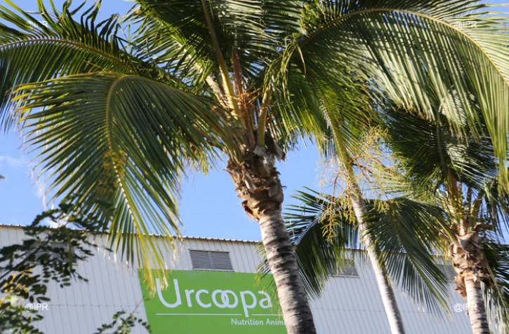 URCOOPA