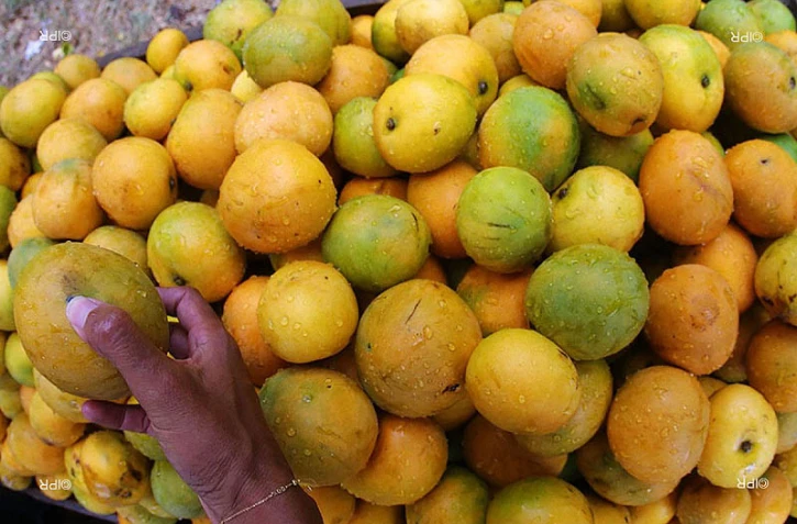 mangue
