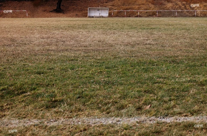 sports coronavirus 