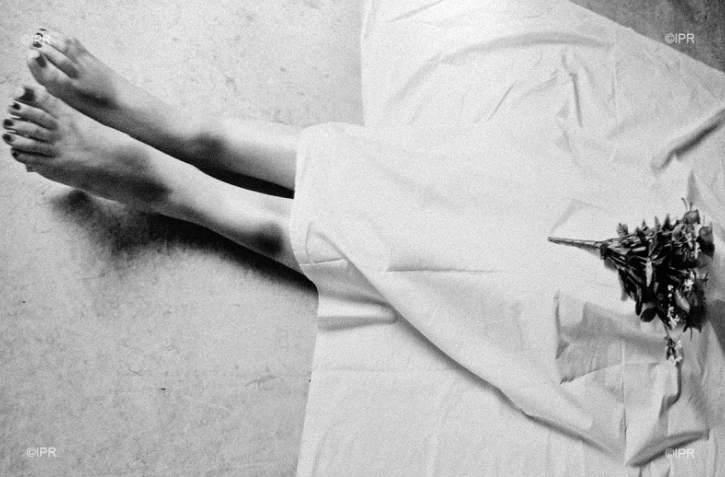 Premiers états généraux des violences faites aux femmes 