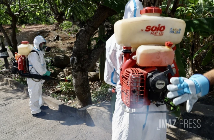 Chikungunya : l'épidémie est déclarée à La Réunion, le préfet déclenche le niveau 3 du dispositif Orsec [?]