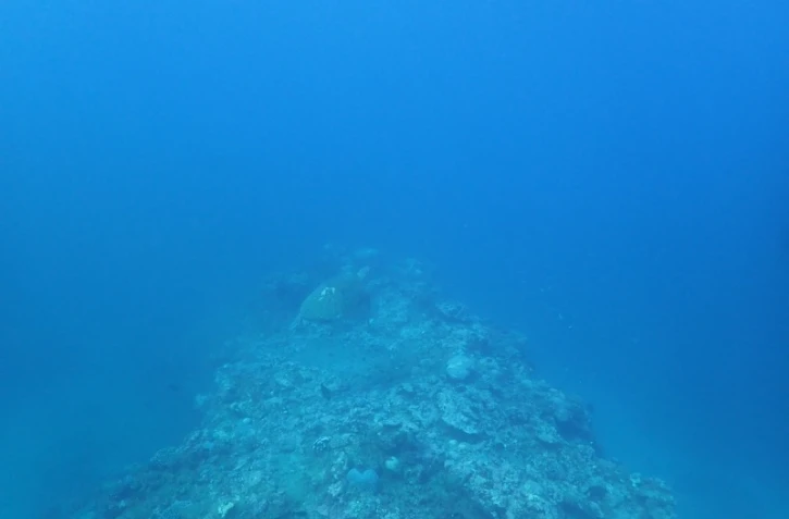 Lulu observation passe Ermtiage