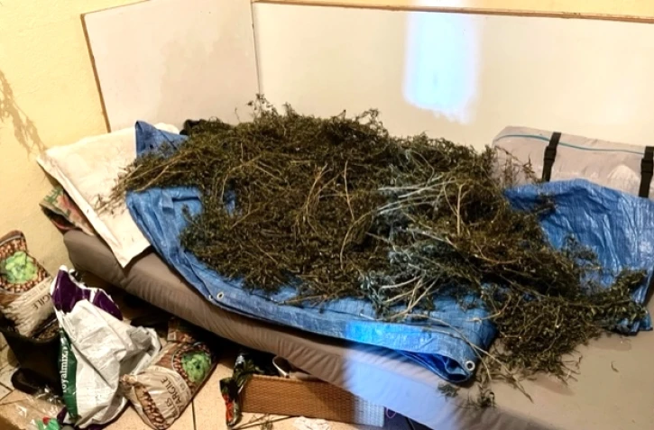 pieds cannabis st benoit