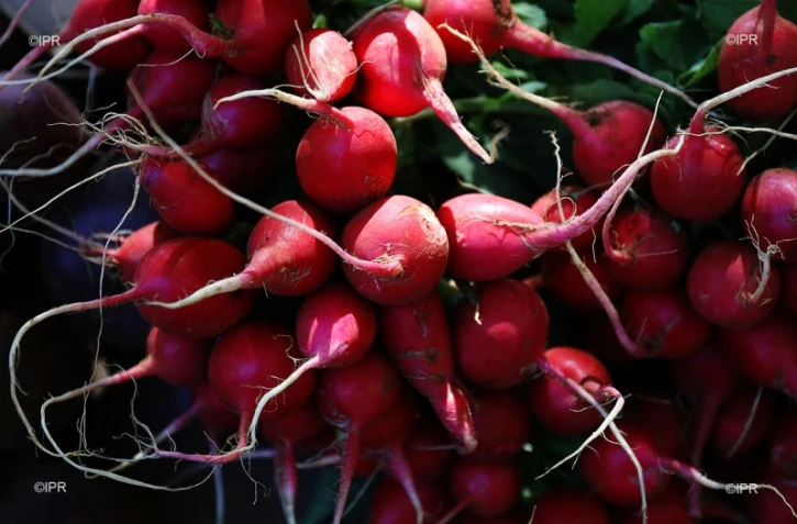 Marché forain du Port - jeudi 13 décembre 2018