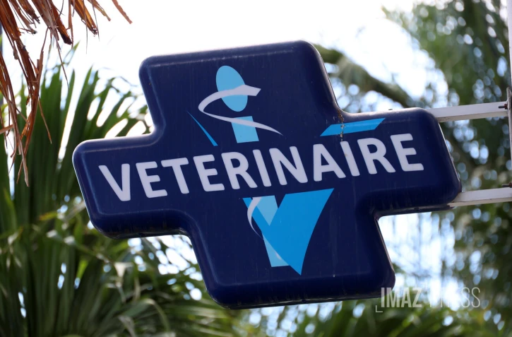 vétérinaire 