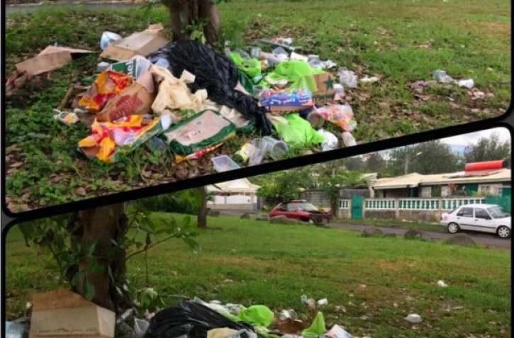 Des déchets laissés en pleine nature rue des Azalées à la Saline-les-Hauts à Saint-Paul.