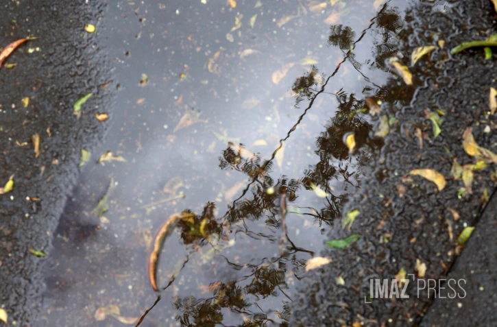 pluie 