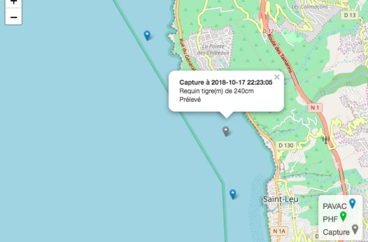 Capture Requin Tigre Localisation 18/10/18