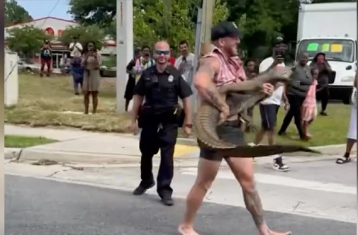 États-Unis : un combattant de MMA capture à mains nues un alligator qui errait dans la rue [?]