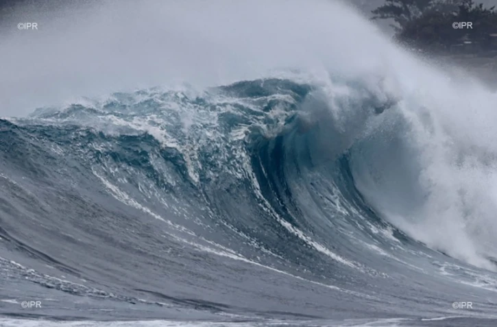 houle septembre 2020