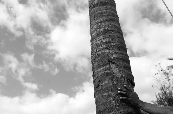 Concours grimpeur coco