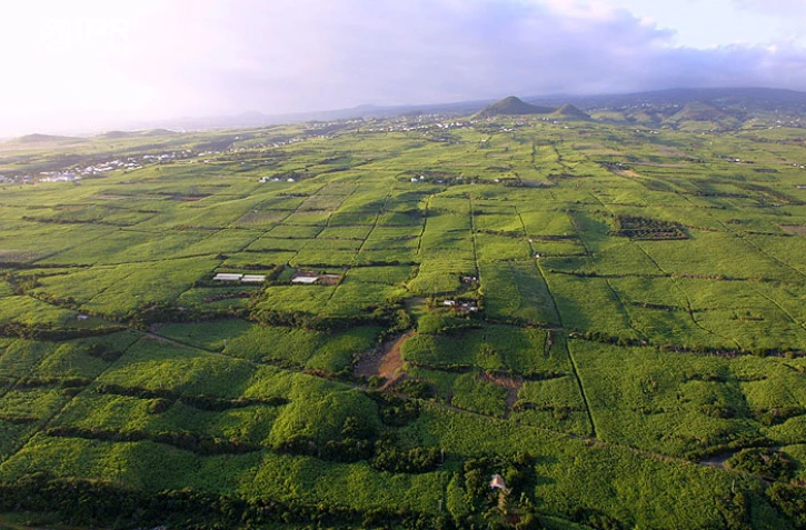 Mont Vert les Hauts,