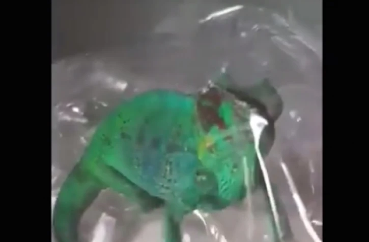 Endormi enfermé et filmé 