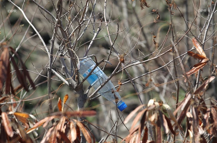 bouteille plastique 