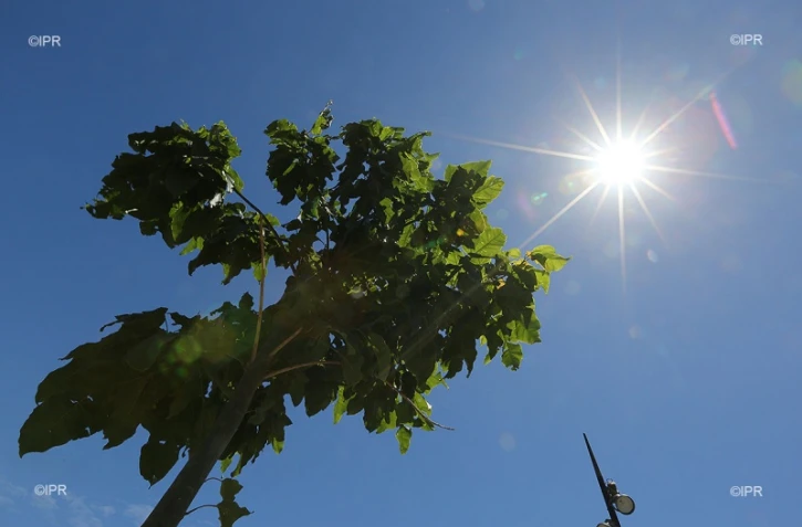 météo réunion 