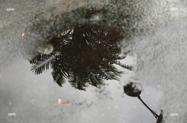 météo réunion 