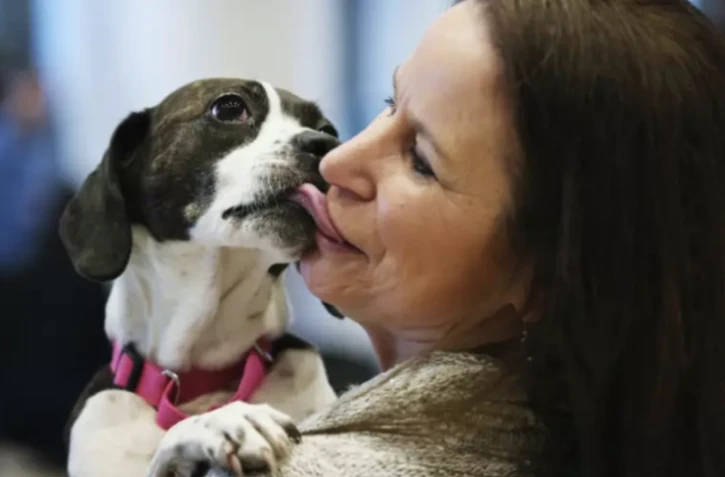 Les chiens pleurent lorsqu'ils retrouvent leur maître, montre une étude