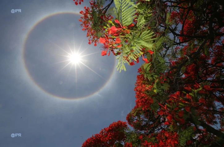 Halo