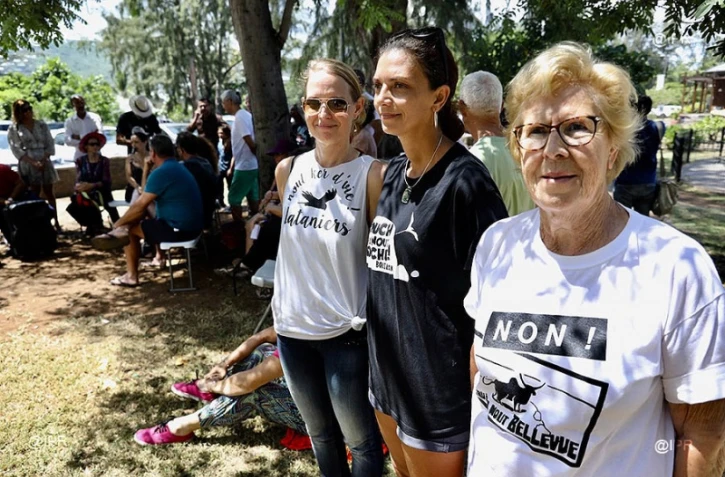 Lataniers nout kèr d'vie, Touch pa nout roche, Detrui pa nout Bellevue, collectif citoyens, carrières, NRL, nouvelle route du Littoral