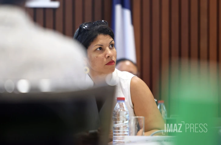 vanessa miranville, conseil communautaire du TO