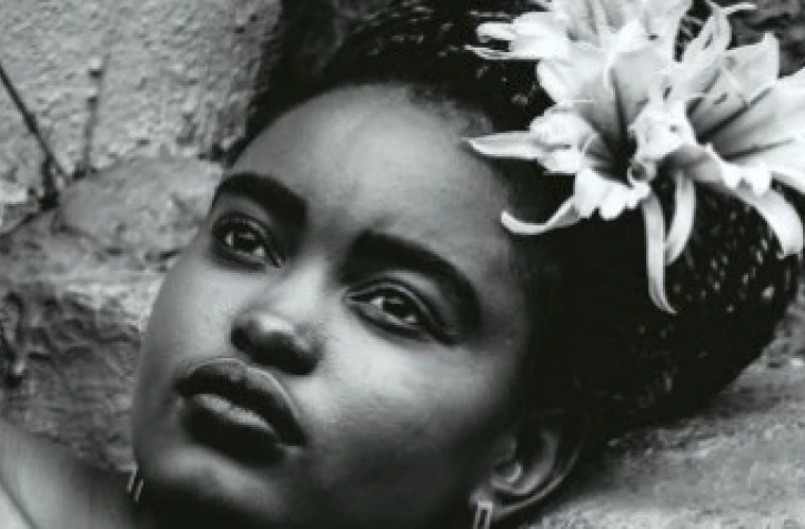 Roman "Le Rivage de la colère"