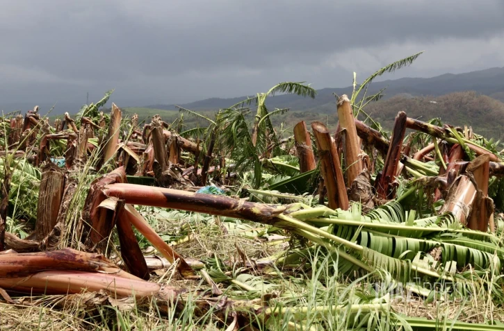 Garance : La Réunion, l'île en phase de sauvegarde