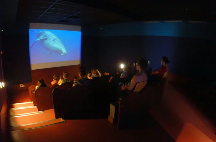 Fesival du film scientifique : le documentaire de Rémy Tézier à l'honneur