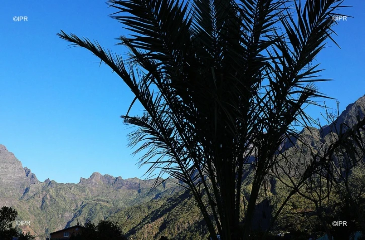 paysages 