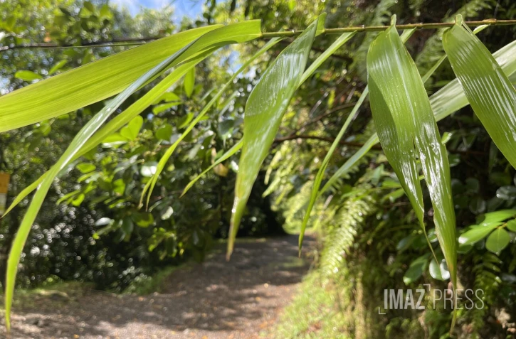 La météo sur La Réunion pluie