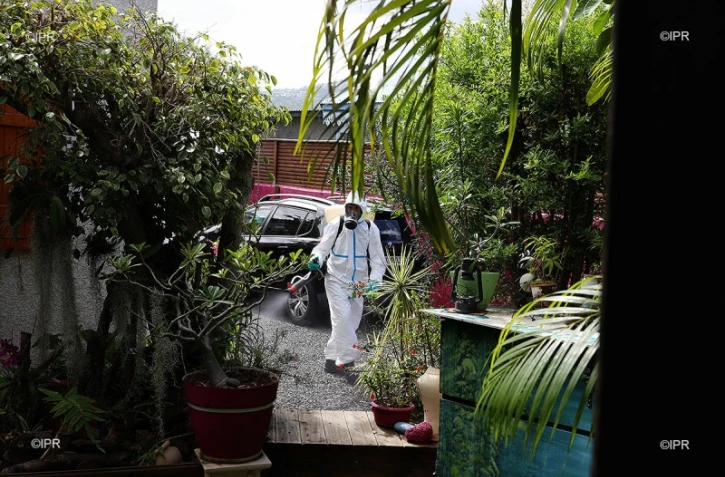 dengue 
