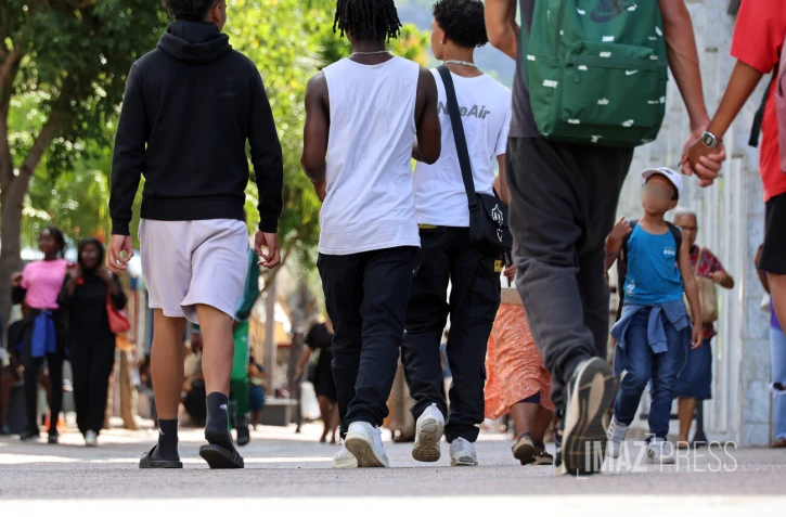 population démographie 