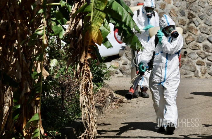 Chikungunya : l'épidémie est déclarée à La Réunion, le préfet déclenche le niveau 3 du dispositif Orsec [?]