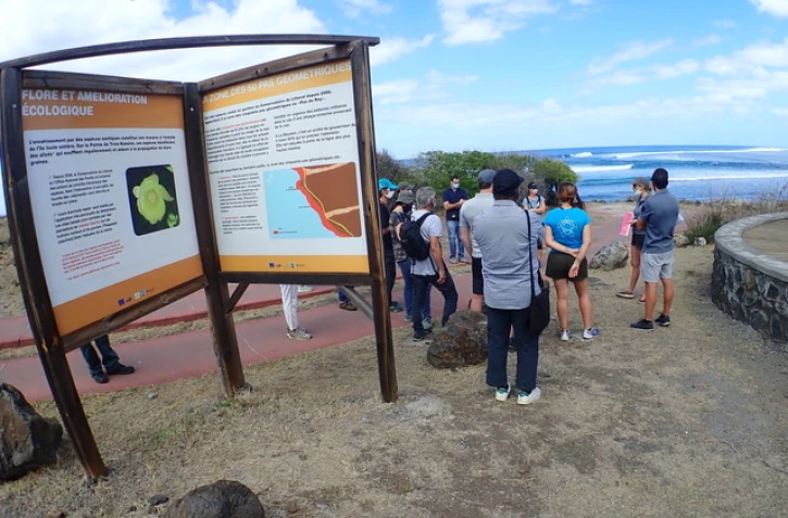 Projet "Amen tortue" : des nouvelles plages de ponte pour les tortues marines