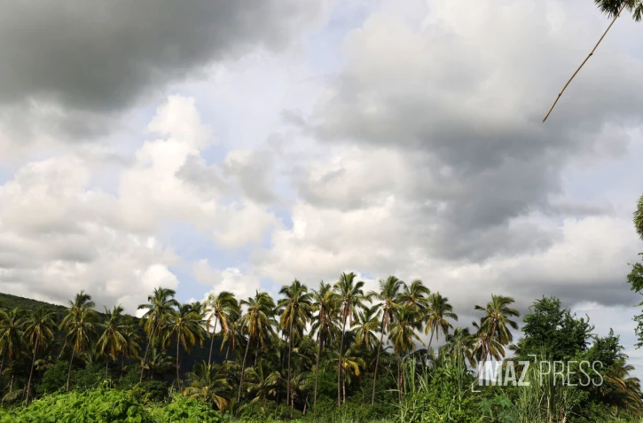 météo réunion