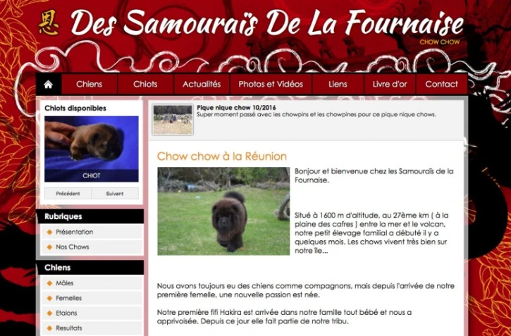 Les éleveurs canins vent debout contre les élevages marrons