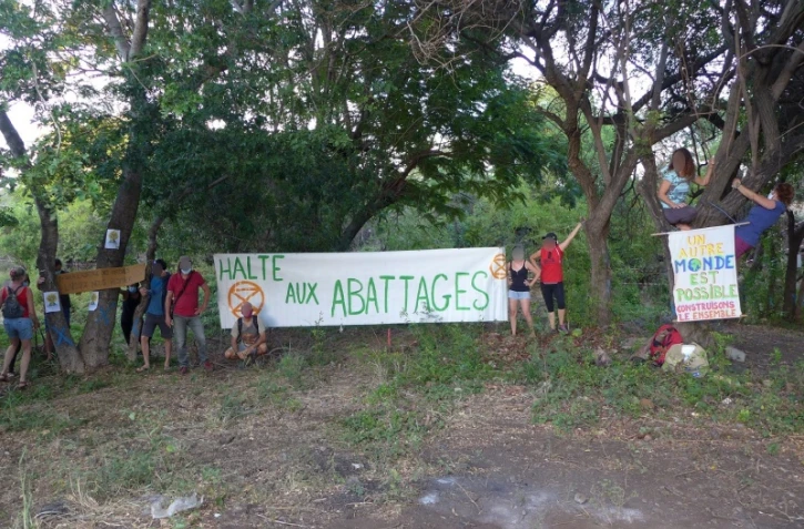 XR Réunion opération groupée contre abattage