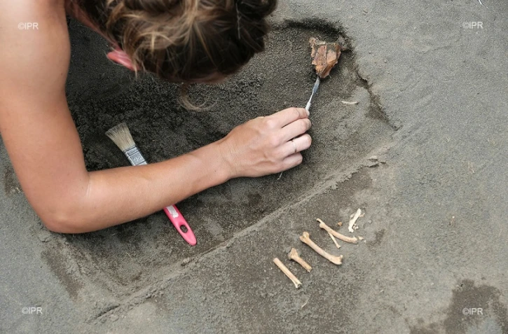 vestiges archéologiques de saint-paul