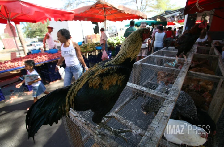 marché forain de l'Oasis au Port