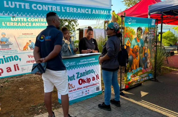 TO : "Out zanimo, okip a li", une initiative pour lutter contre l'abandon animale 