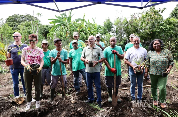 plantation 500 arbres ALEFPA Département