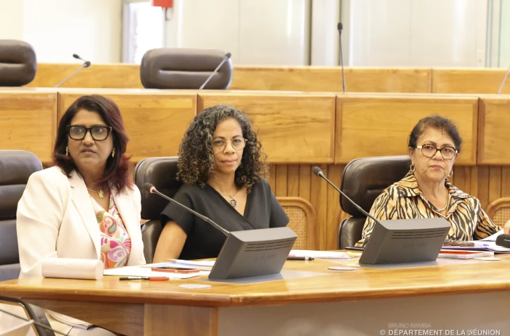 Séminaire autour de la lutte contre les violences intrafamiliales sur les enfants