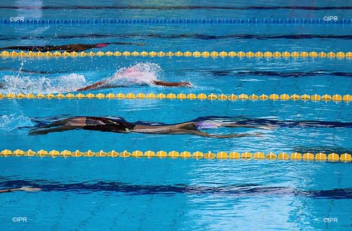 natation 