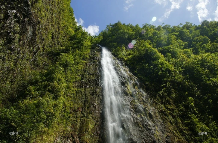 météo Réunion 