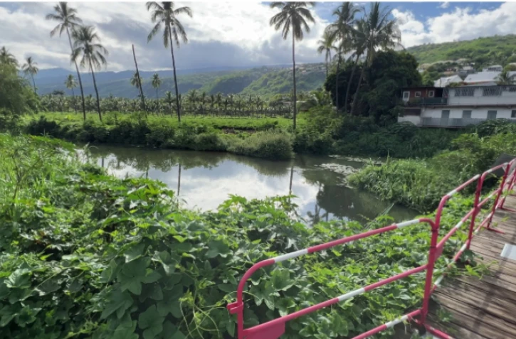 Territoire de l'Ouest : des travaux à la Ravine Bernica afin de réduire les risques d'inondations