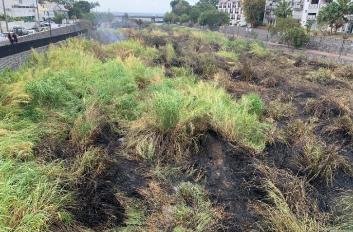 Saint-Denis : feu de broussailles à Bas de la Rivière, pas de risque pour les habitants 