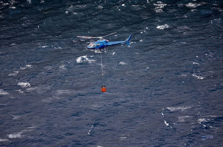 Incendie, Grand brûlé, Sainte-Rose, feu, végétation